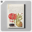 アートパネル-Scarlet Turk's Cap, Rhinoceros Beetle, and Pomegranate from Mira Calligraphiae Monumenta
 - 書道のお手本 Canvas.