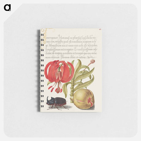 アートメモ帳-Scarlet Turk's Cap, Rhinoceros Beetle, and Pomegranate from Mira Calligraphiae Monumenta
 - 書道のお手本 Memo.