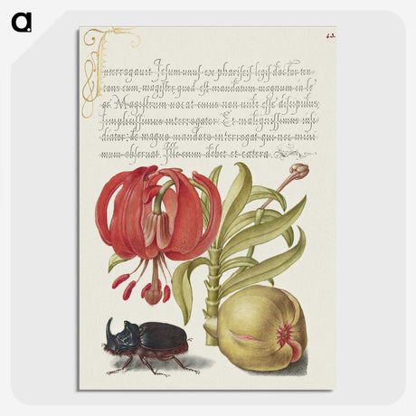 1-78_The-Model-Book-of-Calligraphy_picture-crop