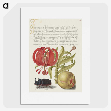 1-78_The-Model-Book-of-Calligraphy_picture