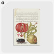 1-78_The-Model-Book-of-Calligraphy_postcard