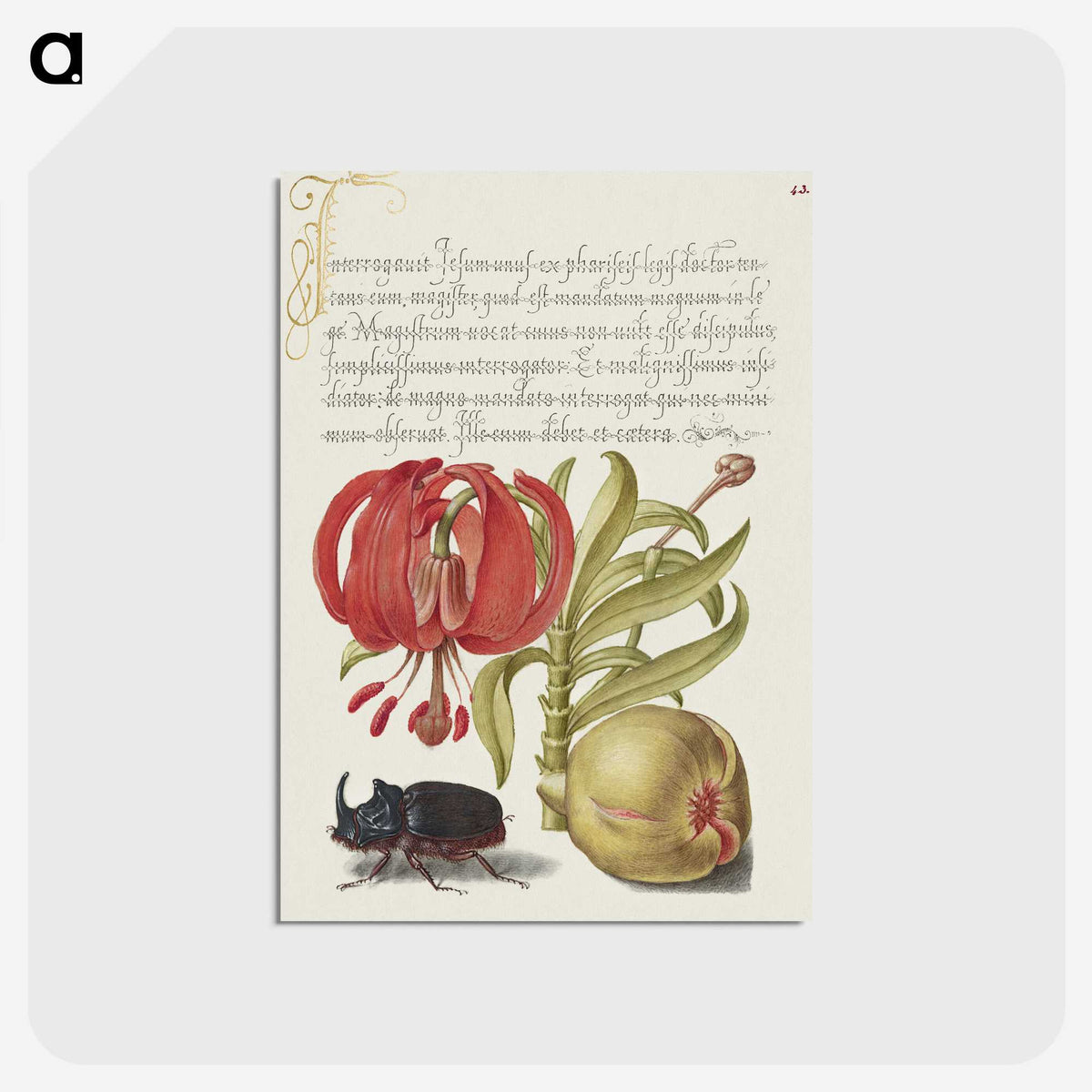 1-78_The-Model-Book-of-Calligraphy_postcard