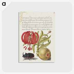 1-78_The-Model-Book-of-Calligraphy_postcard