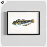 1-78_The-Natural-History-of-British-Fishes_blk
