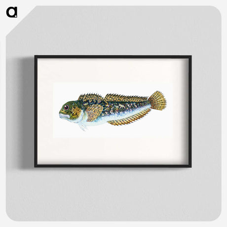 1-78_The-Natural-History-of-British-Fishes_blk