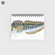 1-78_The-Natural-History-of-British-Fishes_memo