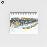 1-78_The-Natural-History-of-British-Fishes_memo