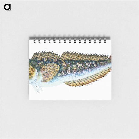 1-78_The-Natural-History-of-British-Fishes_memo