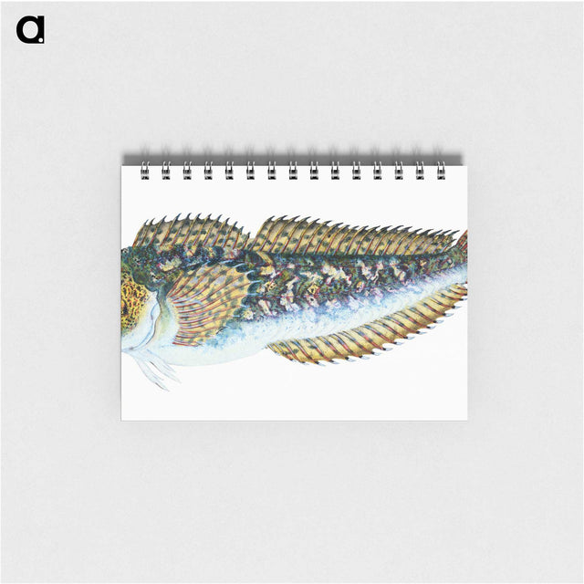 1-78_The-Natural-History-of-British-Fishes_memo