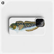 1-78_The-Natural-History-of-British-Fishes_phone