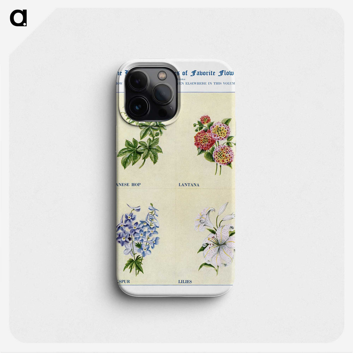 1-78_The-Open-Door-to-Independence_phone