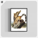 1-78_The-Viviparous-Quadrupeds_blk-crop