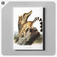 1-78_The-Viviparous-Quadrupeds_canvas