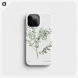 1-78_Treatise-on-Trees-and-Shrubs_phone