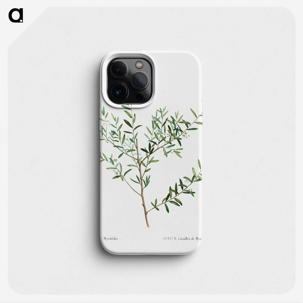 1-78_Treatise-on-Trees-and-Shrubs_phone