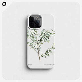 1-78_Treatise-on-Trees-and-Shrubs_phone