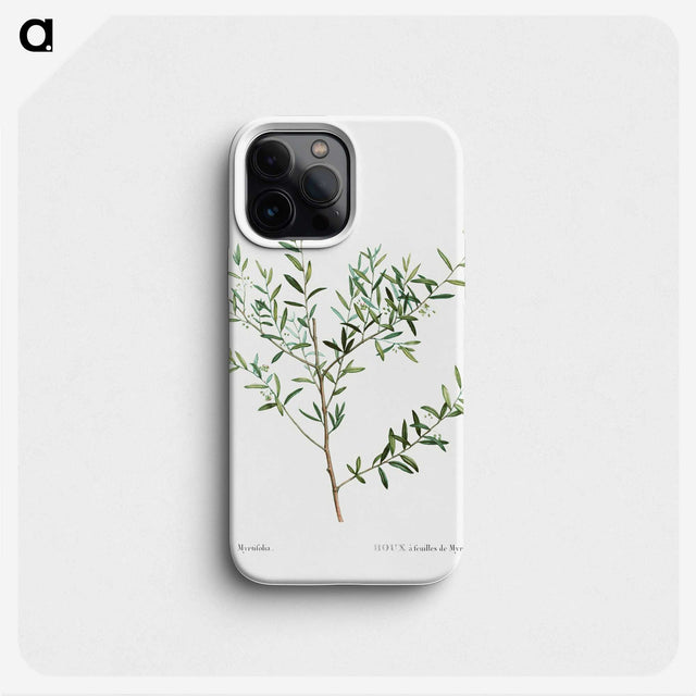 1-78_Treatise-on-Trees-and-Shrubs_phone
