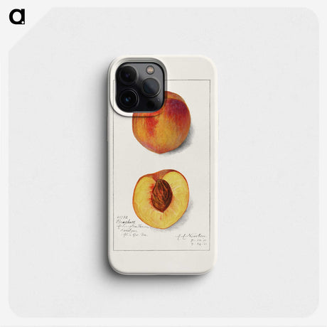 1-78_USDA-Watercolor-Fruit-Painting-Collection_phone