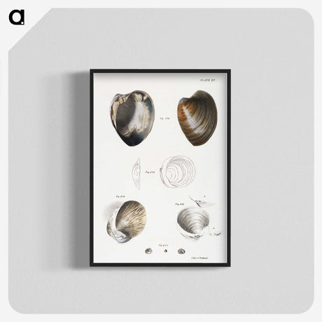 1-78_Zoology-of-New-York_blk-crop