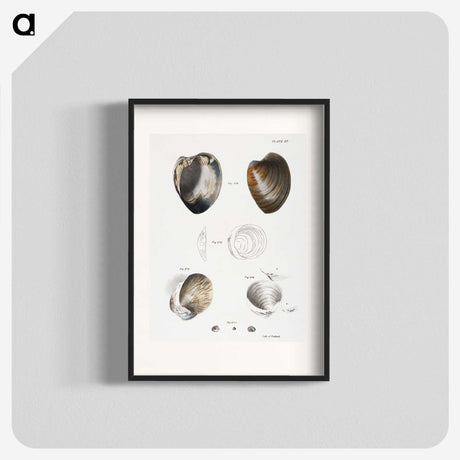 1-78_Zoology-of-New-York_blk