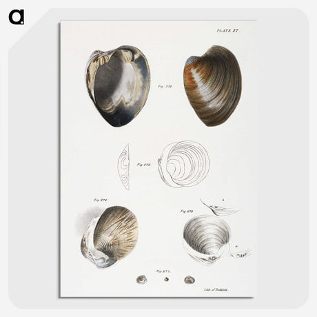 1-78_Zoology-of-New-York_picture-crop
