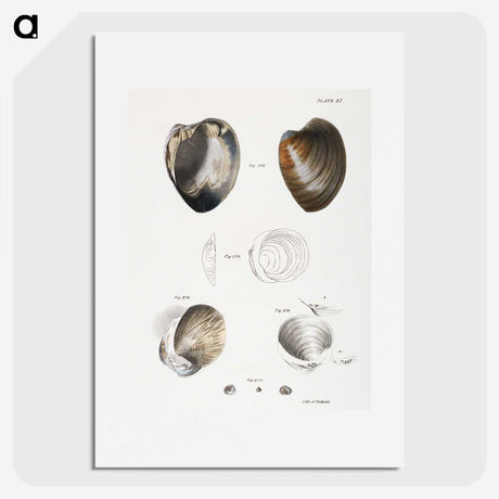 1-78_Zoology-of-New-York_picture