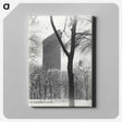 1-79_Alfred-Stieglitz_canvas