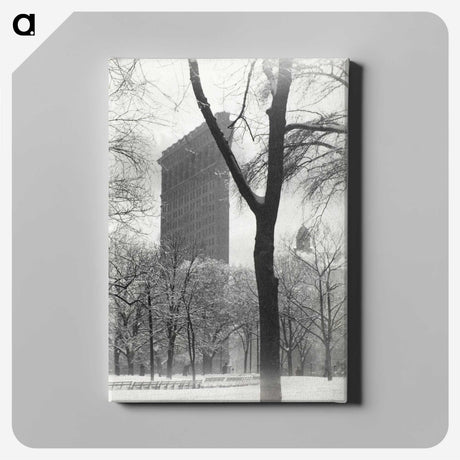 1-79_Alfred-Stieglitz_canvas