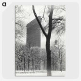 1-79_Alfred-Stieglitz_picture-crop