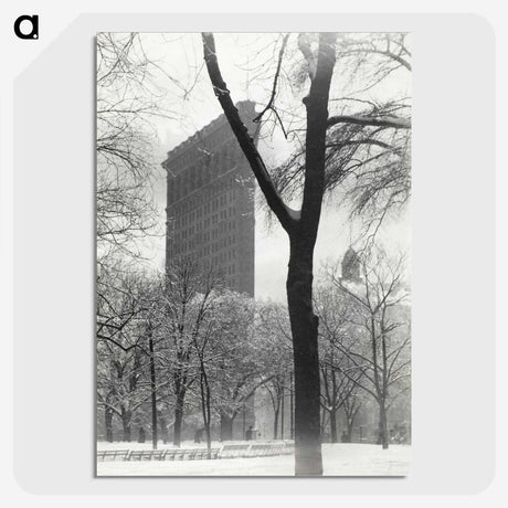 1-79_Alfred-Stieglitz_picture-crop