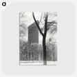 1-79_Alfred-Stieglitz_postcard