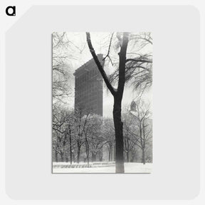 1-79_Alfred-Stieglitz_postcard