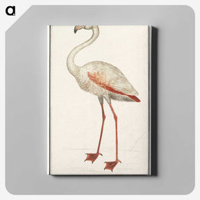 1-79_Anselmus-Boetius-de-Boodt_canvas