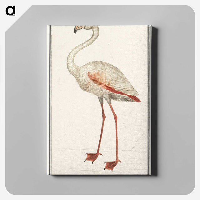 1-79_Anselmus-Boetius-de-Boodt_canvas