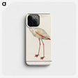 1-79_Anselmus-Boetius-de-Boodt_phone