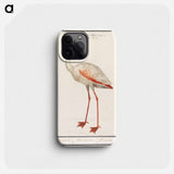 Common flamingo - アンセルムス ボエティウス デ ブート Phone Case.