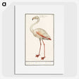 1-79_Anselmus-Boetius-de-Boodt_picture
