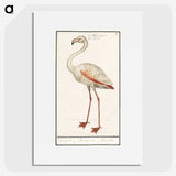 1-79_Anselmus-Boetius-de-Boodt_picture