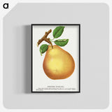 1-79_Botanical-Specimen-Plates_blk-crop