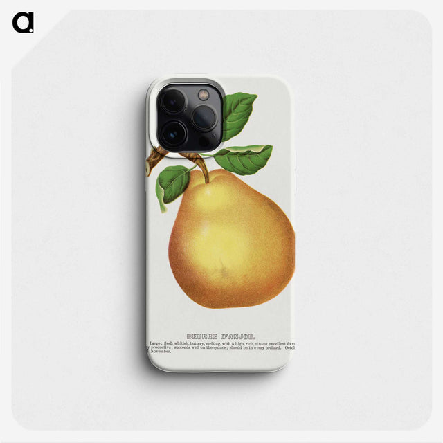 1-79_Botanical-Specimen-Plates_phone