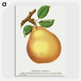 1-79_Botanical-Specimen-Plates_picture-crop