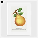 1-79_Botanical-Specimen-Plates_picture