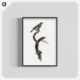 1-79_Des-Oiseaux-de-Paradis_blk-crop