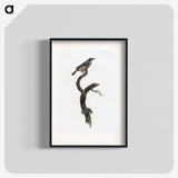 1-79_Des-Oiseaux-de-Paradis_blk