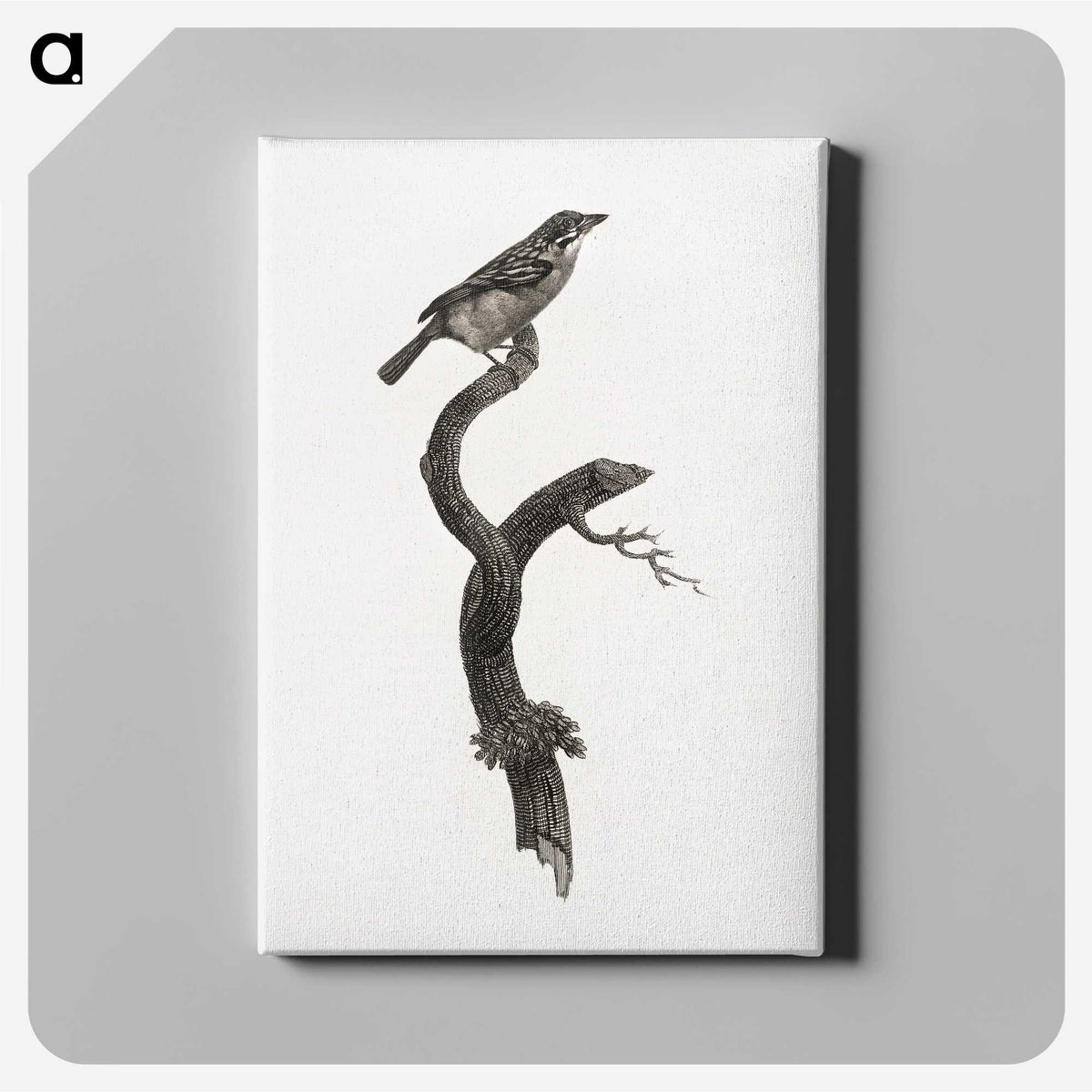 1-79_Des-Oiseaux-de-Paradis_canvas