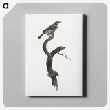 1-79_Des-Oiseaux-de-Paradis_canvas
