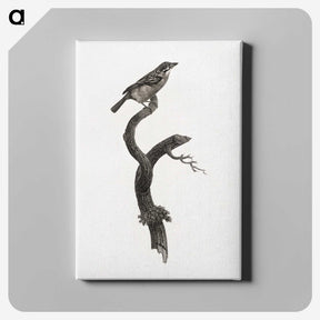 1-79_Des-Oiseaux-de-Paradis_canvas