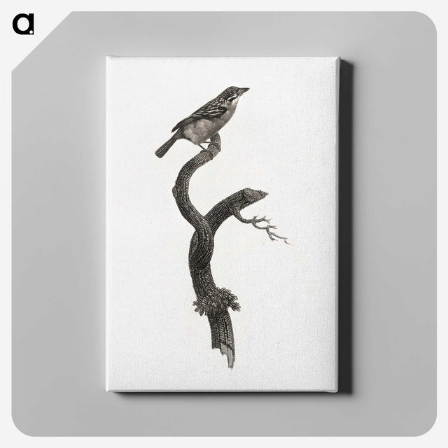 1-79_Des-Oiseaux-de-Paradis_canvas