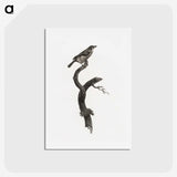 1-79_Des-Oiseaux-de-Paradis_hagaki