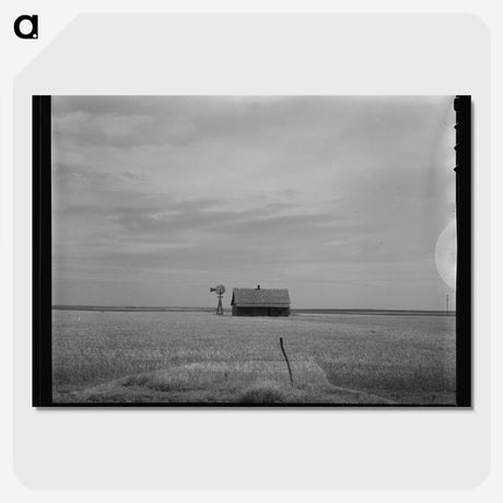 1-79_Dorothea-Lange_picture-crop